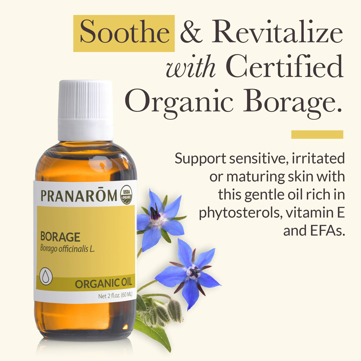Alternate image of Borage Virgin Plant Oil