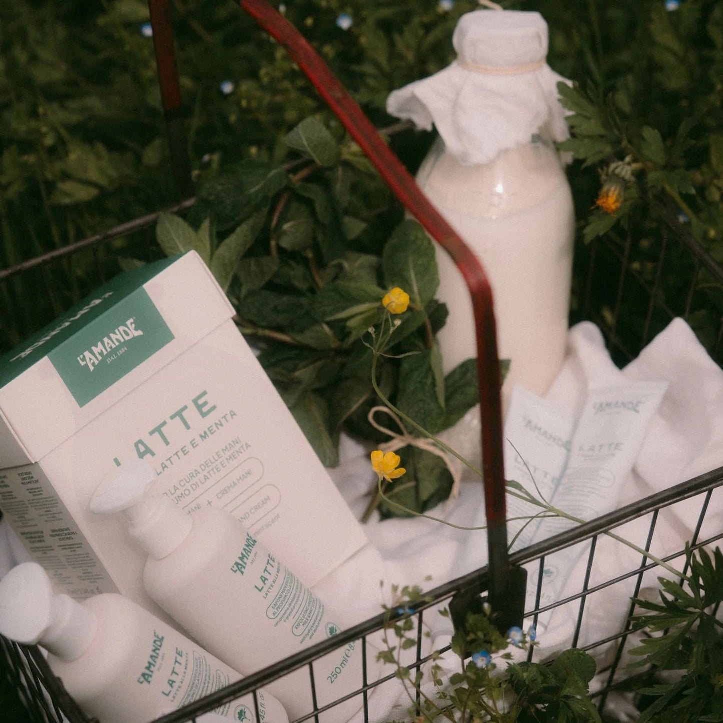 Alternate image of L'Amande Milk & Mint Hand Care Kit