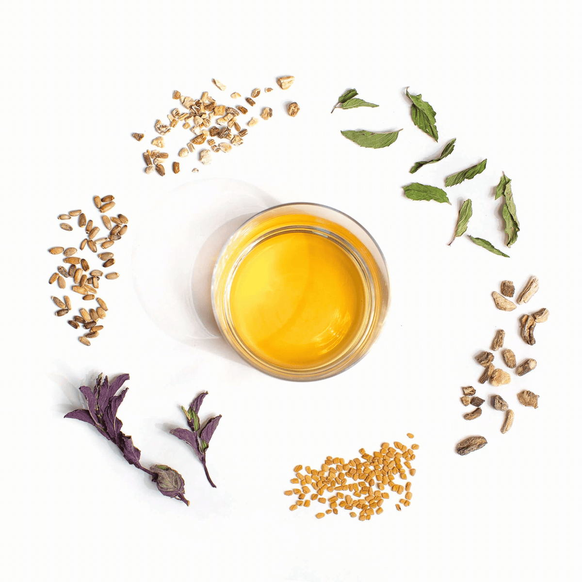 Alternate image of cup of tea surrounded by leaves and flowers from the tea