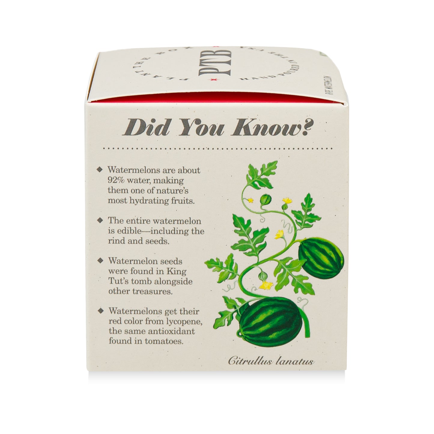Alternate Image of Plant the Box Ripe Watermelon Candle