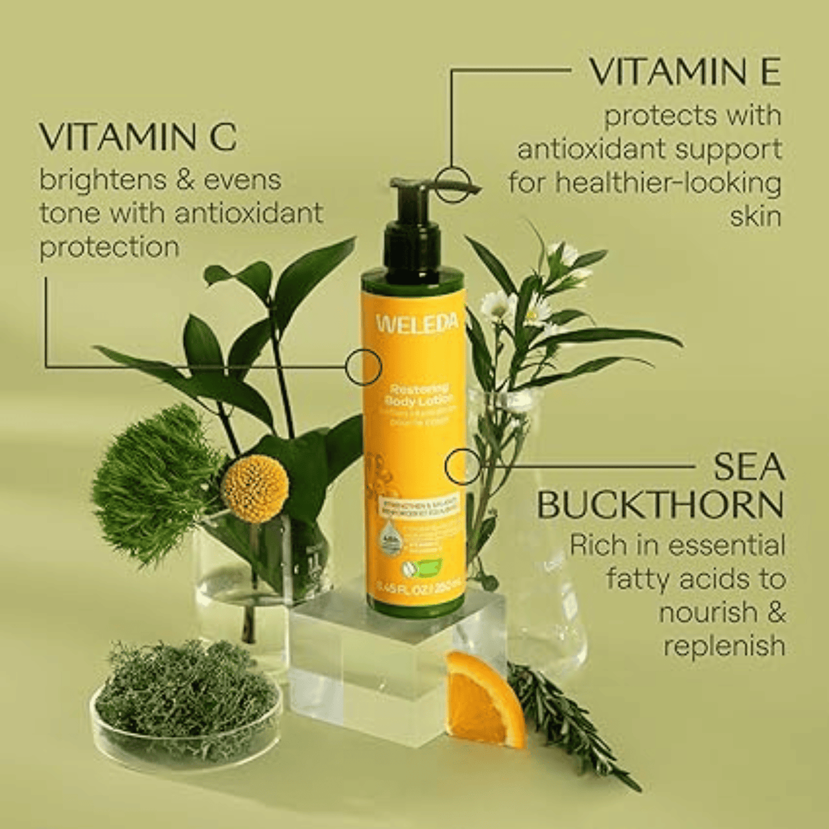 Ingredient infographic showing vitamin C brightens tone, vitamin E supports antioxidant protection, and sea buckthorn nourishes skin
