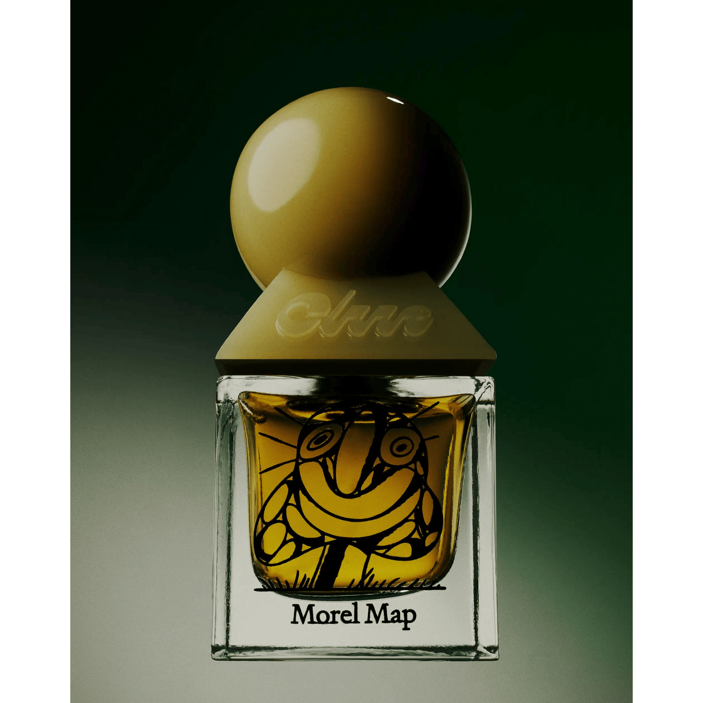 Alternate Image of Morel Map EDP