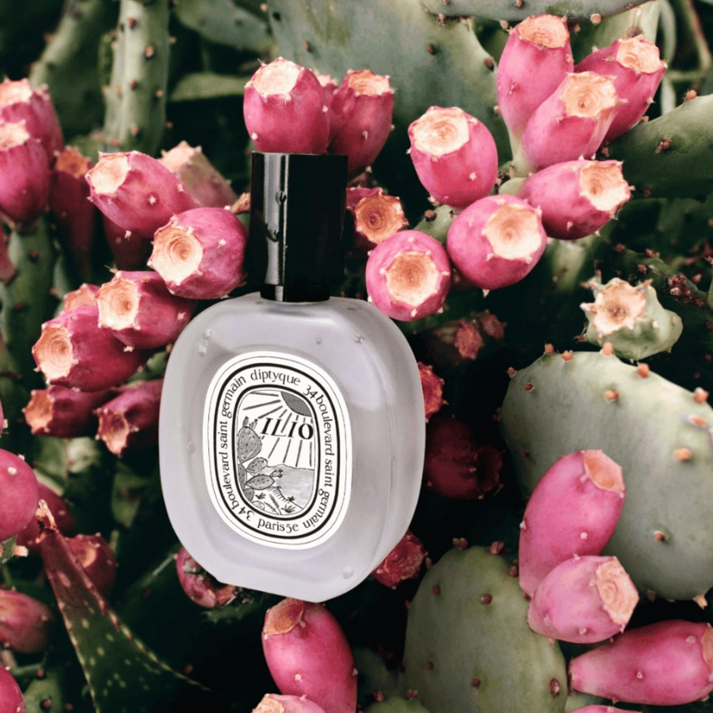 Alternate Image of Ilio Hair Mist