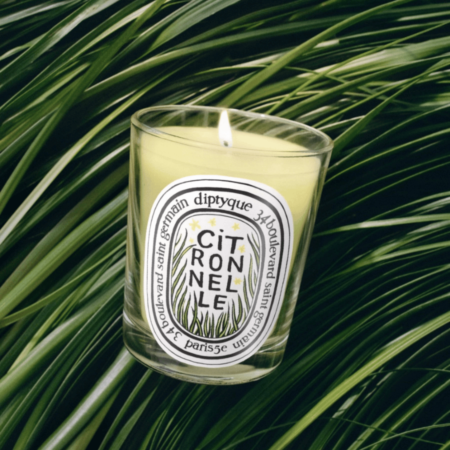 Alternate Image of Limited Edition Citronnelle Candle