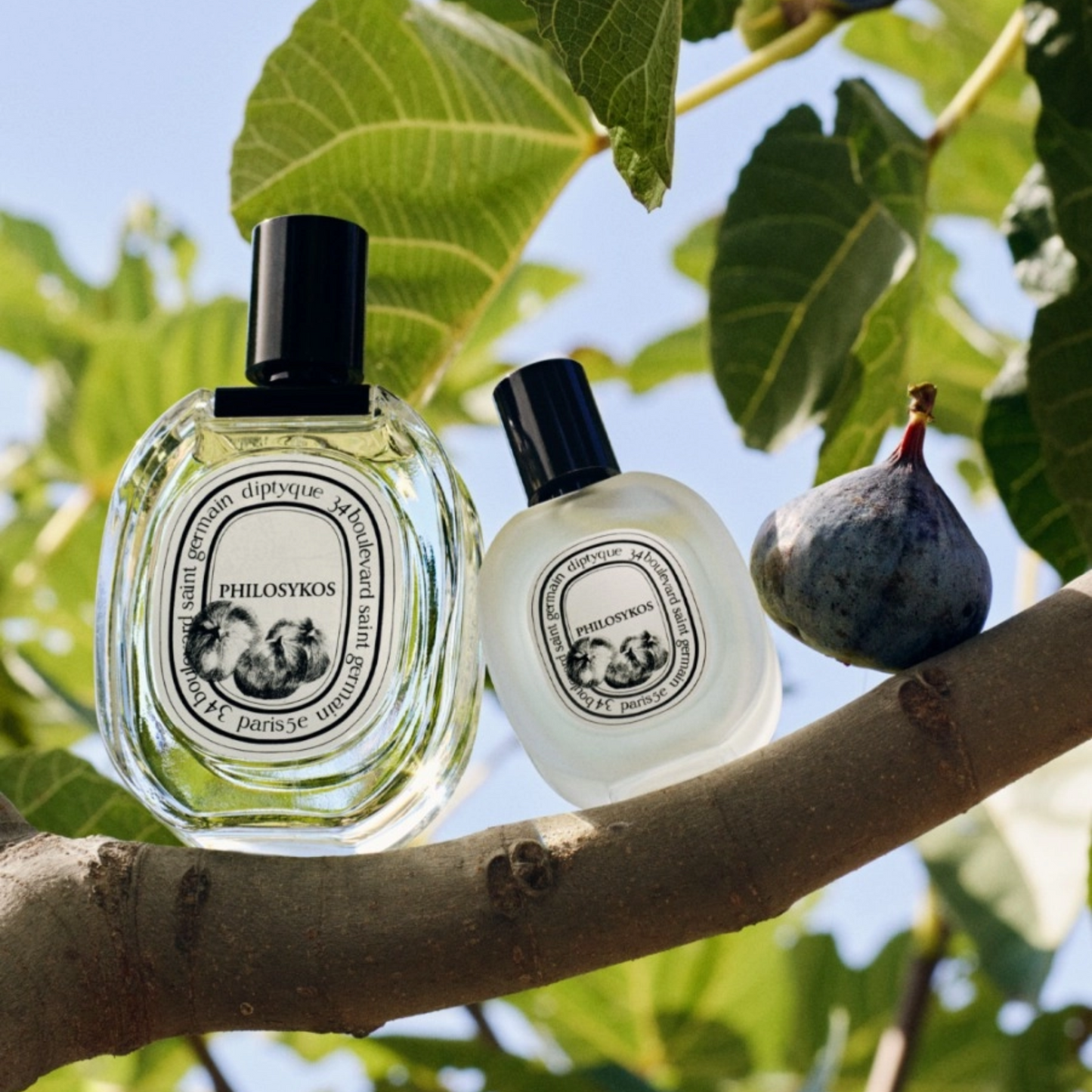 Alternate Image of diptyque Paris Philosykos Hair Mist (30 ml)