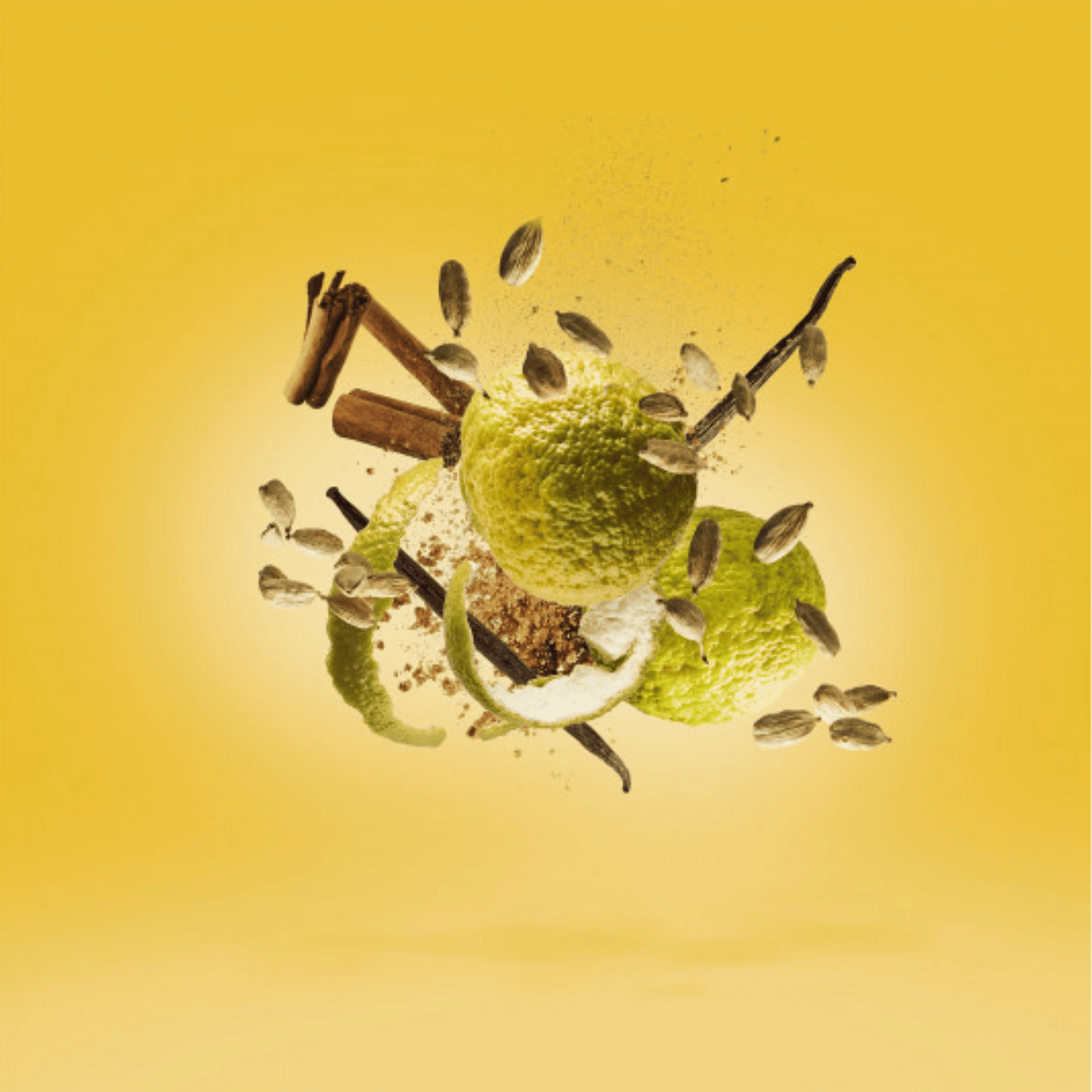 Alternate Image of Erba Gold EDP