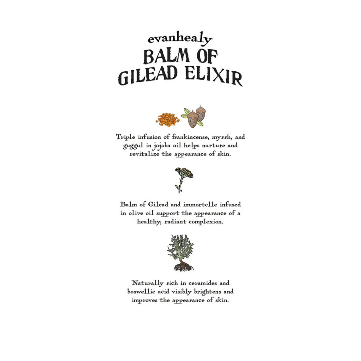 Alternate Image of Balm of Gilead Elixir