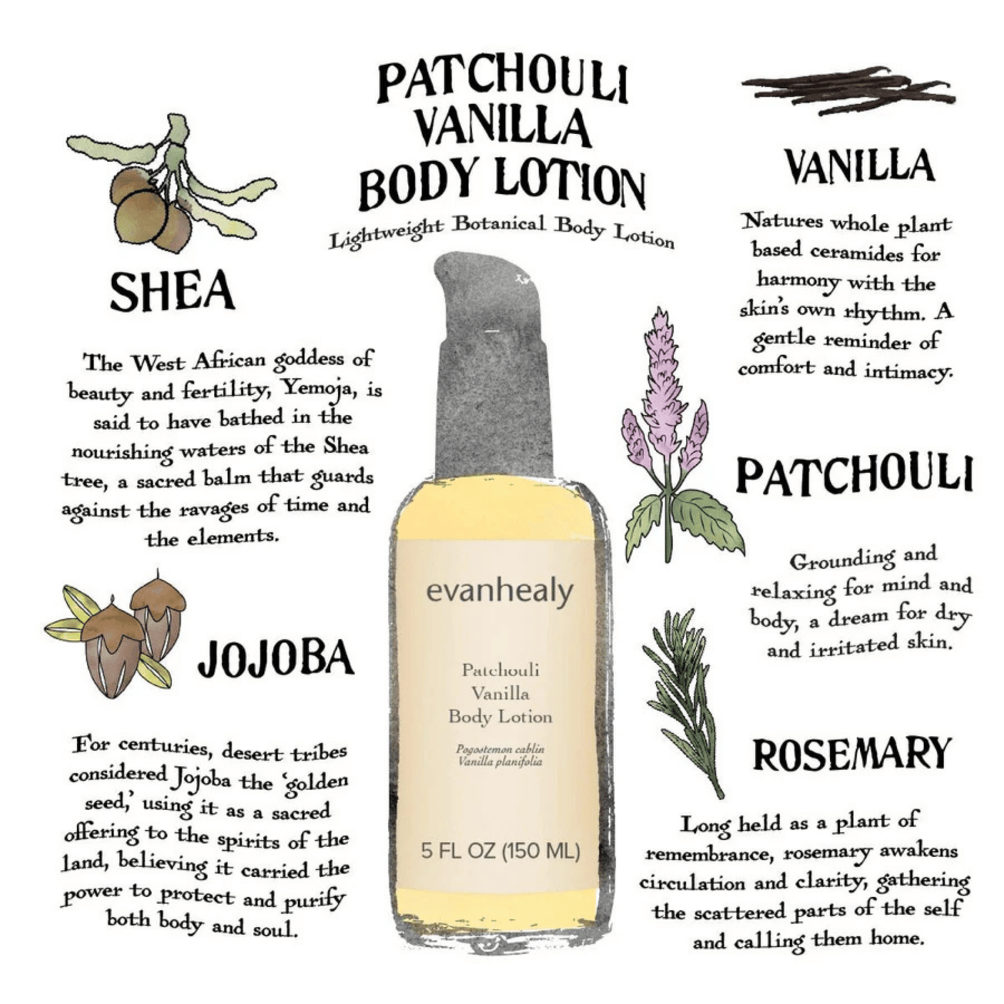 Alternate image of evanhealy Patchouli Vanilla Body Lotion (5 fl oz)