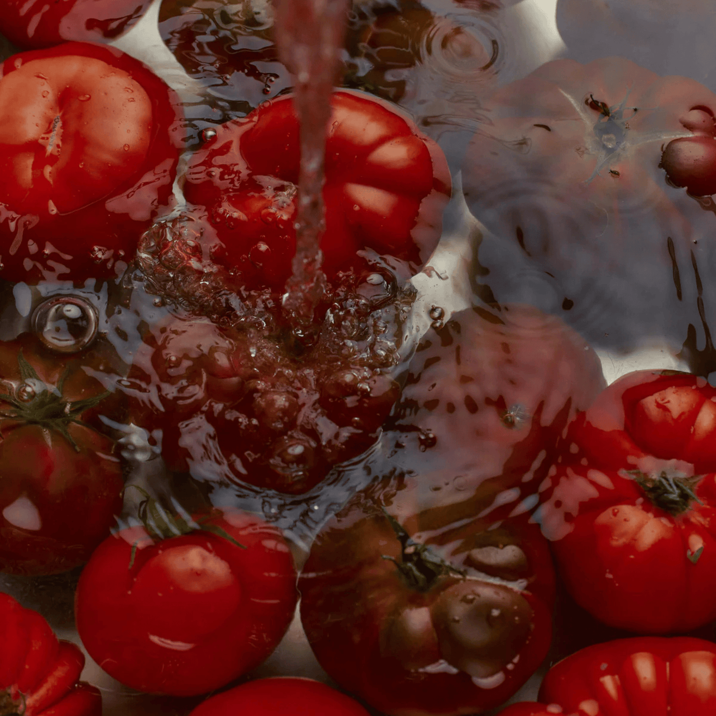 Alternate Image of Heirloom Tomato Hand Soap