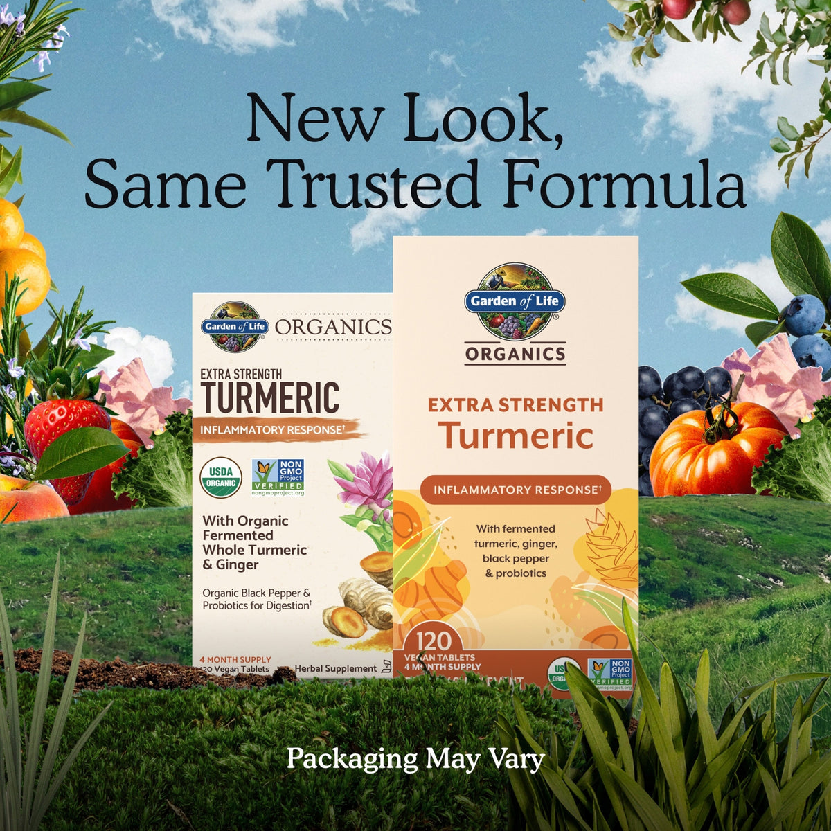 Alternate Image of Organics Extra Strength Turmeric, box with illustrated ingredients