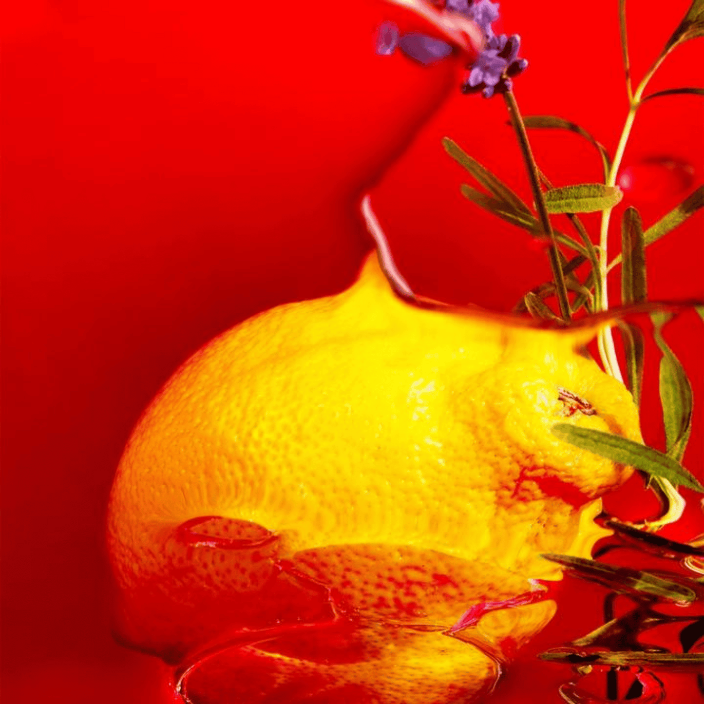 Alternate Image of Jean Marie Farina Perfumed Soaps Set