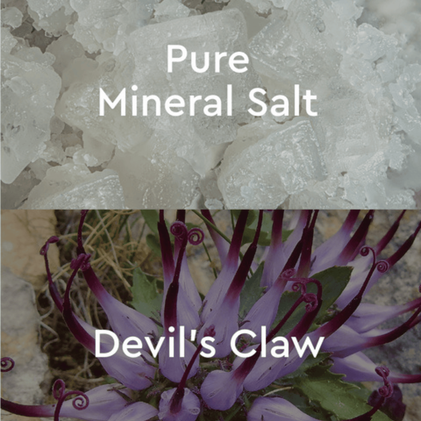 Alternate Image of Devil's Claw Back & Neck Mineral Bath Salts
