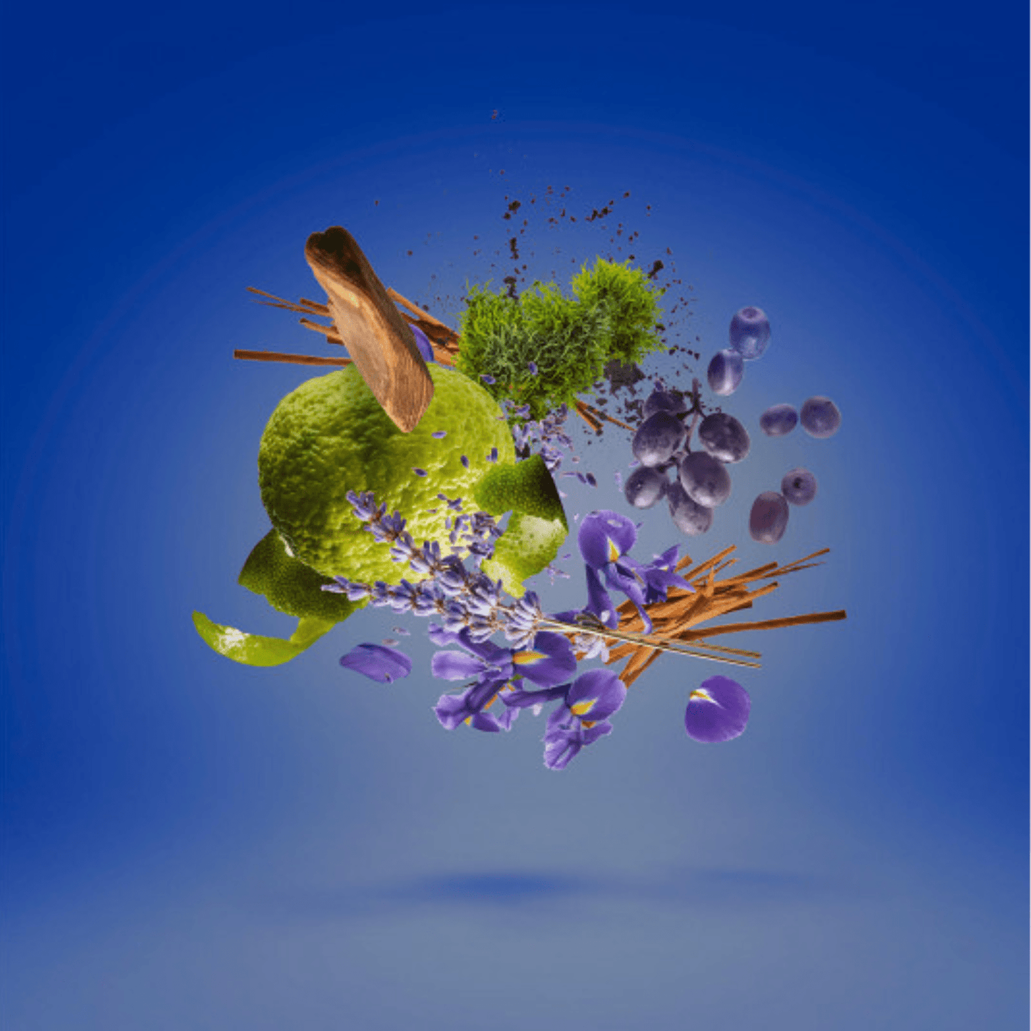 Alternate Image of Mefisto EDP Notes