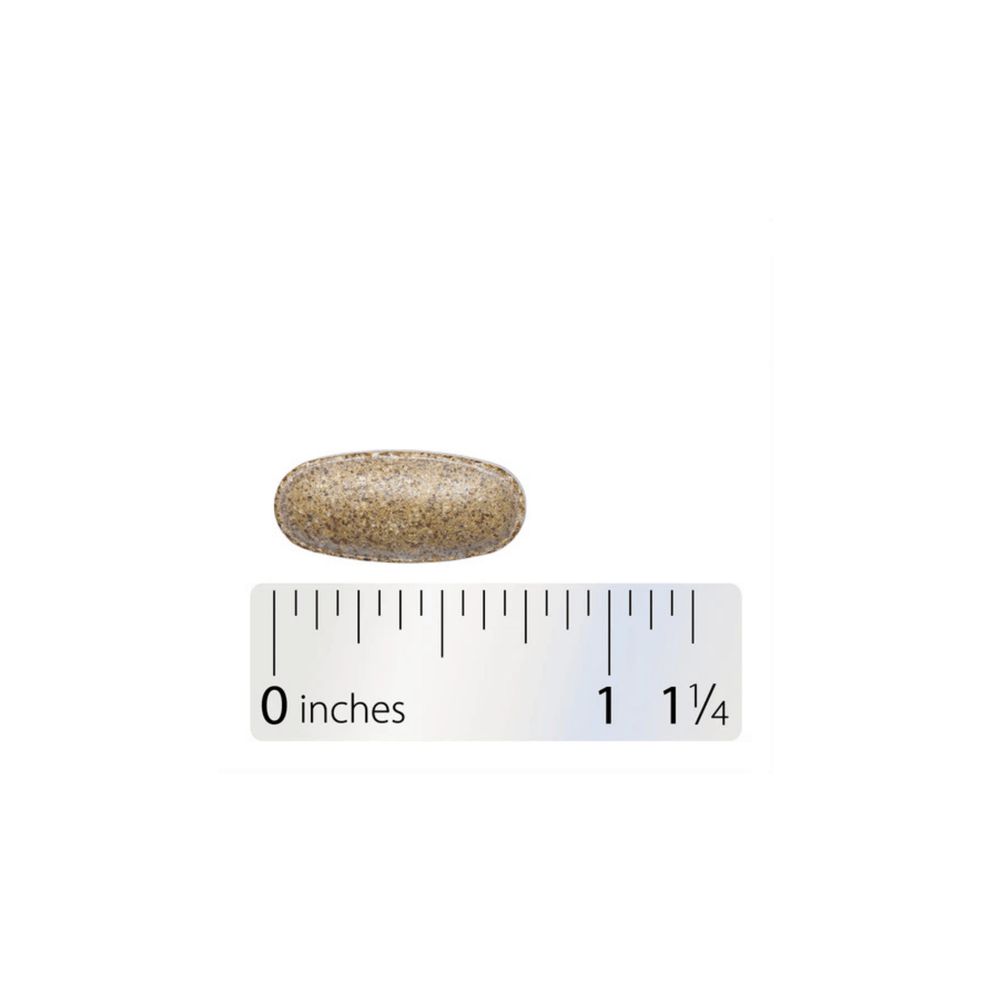 Alterne Image of Alive! Women's 50+