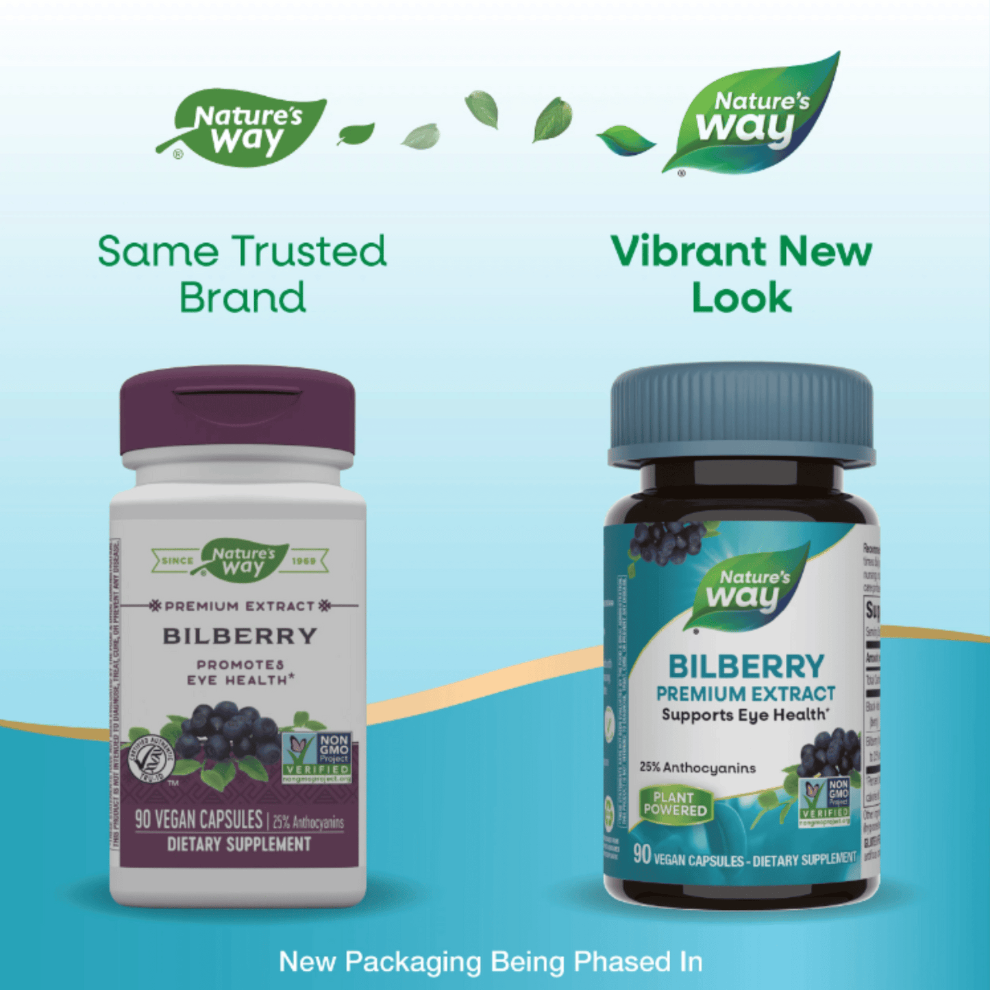 Alternate Image of Standardized Bilberry