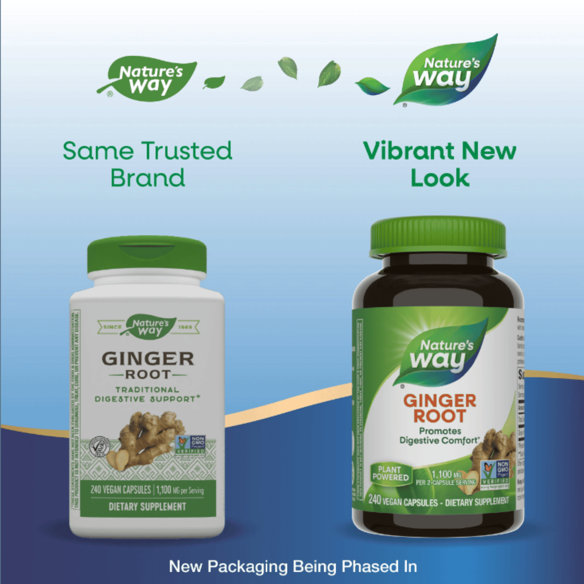 Alternate Image of Ginger Root