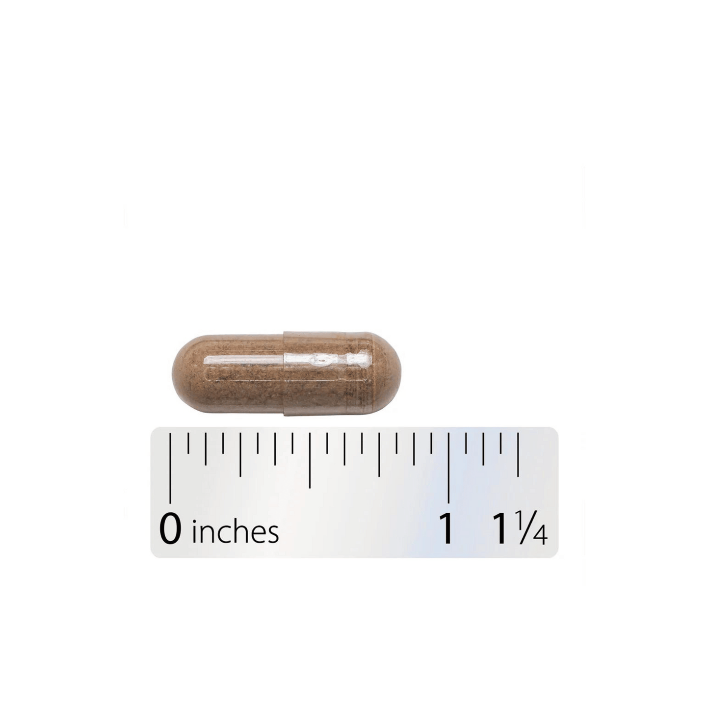 Alternate Image of Horse Chestnut