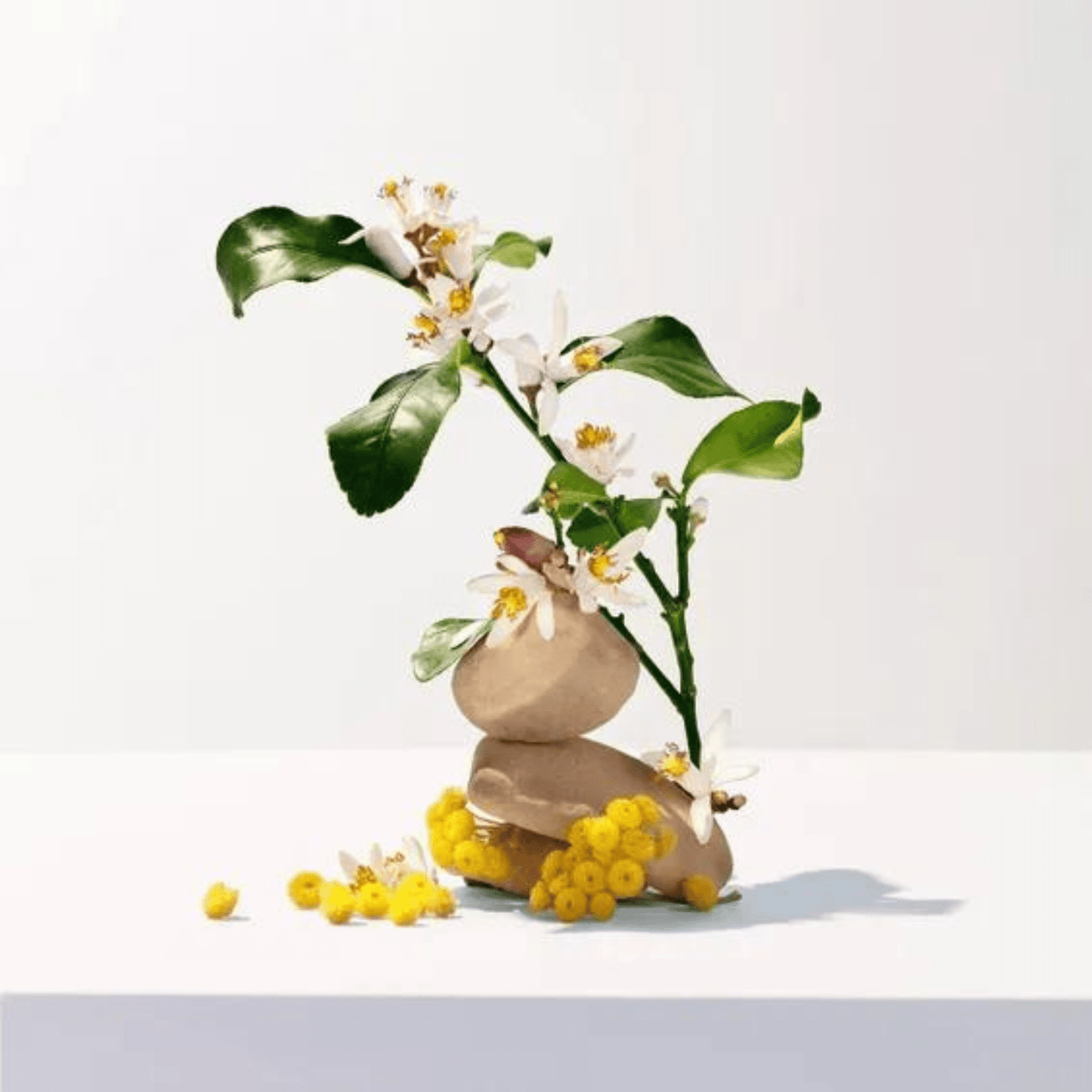 Alternate Image of Neroli Shower Gel