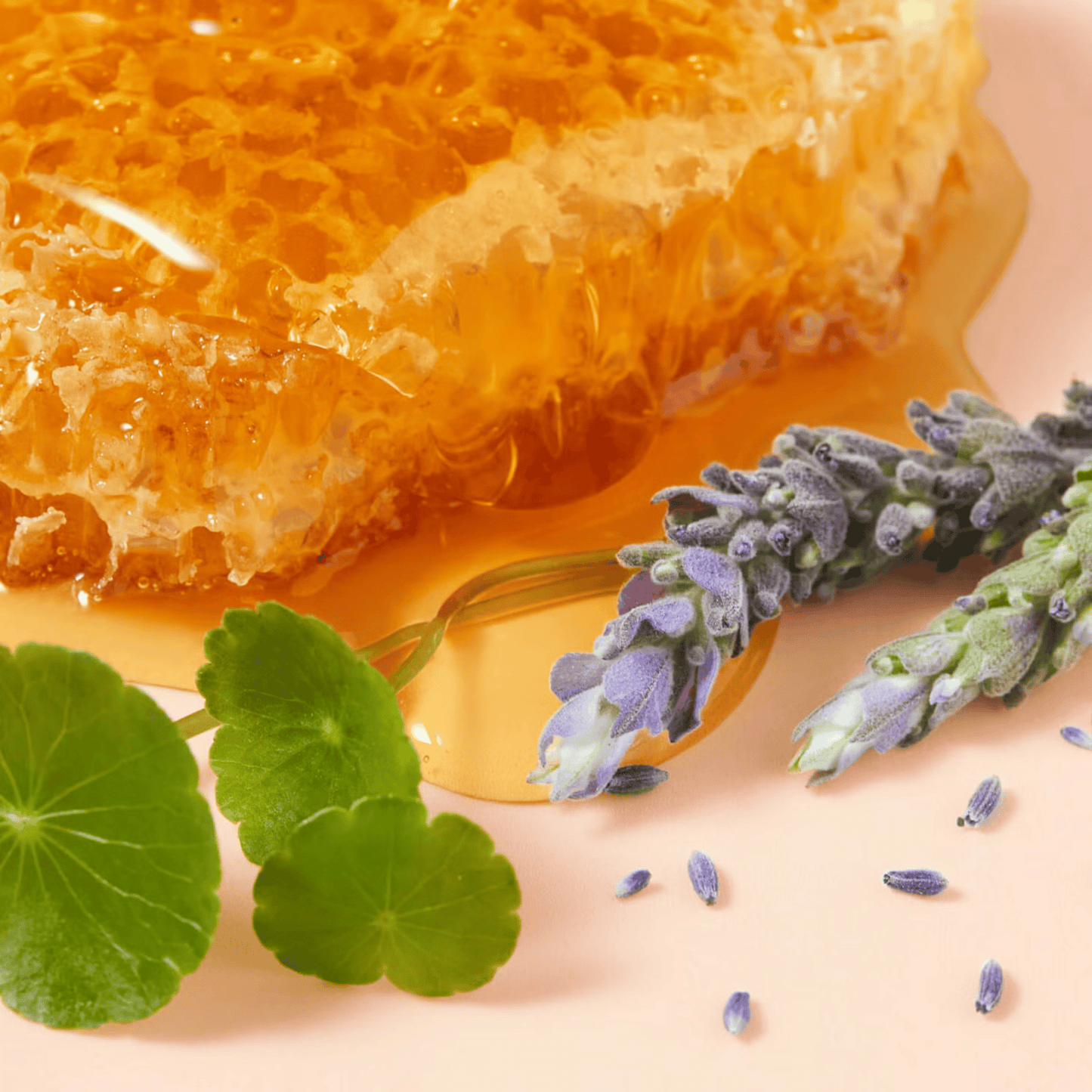 Alternate Image of Reve De Miel Cica Hand Cream