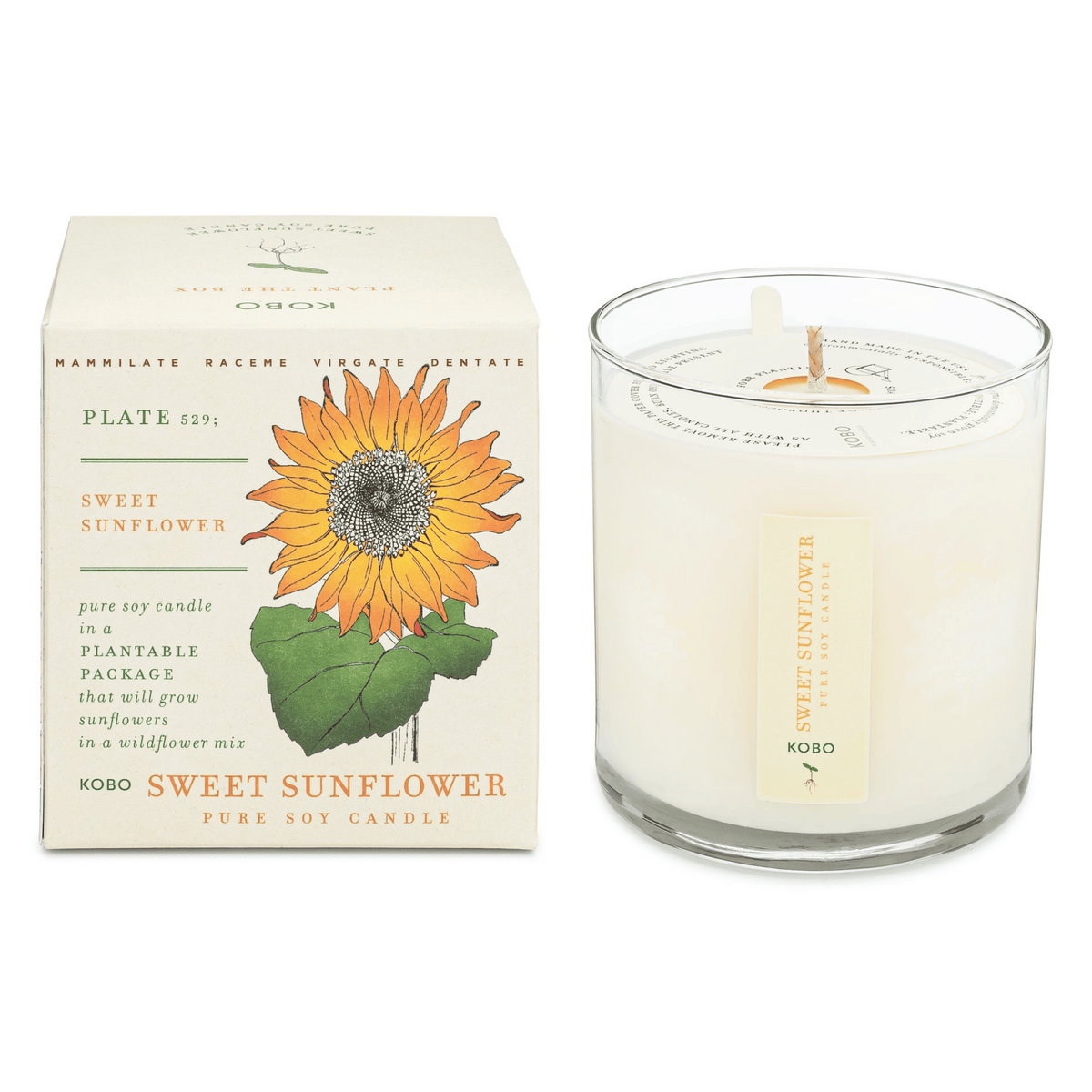 Primary Image of Sweet Sunflower Plant the Box Candle