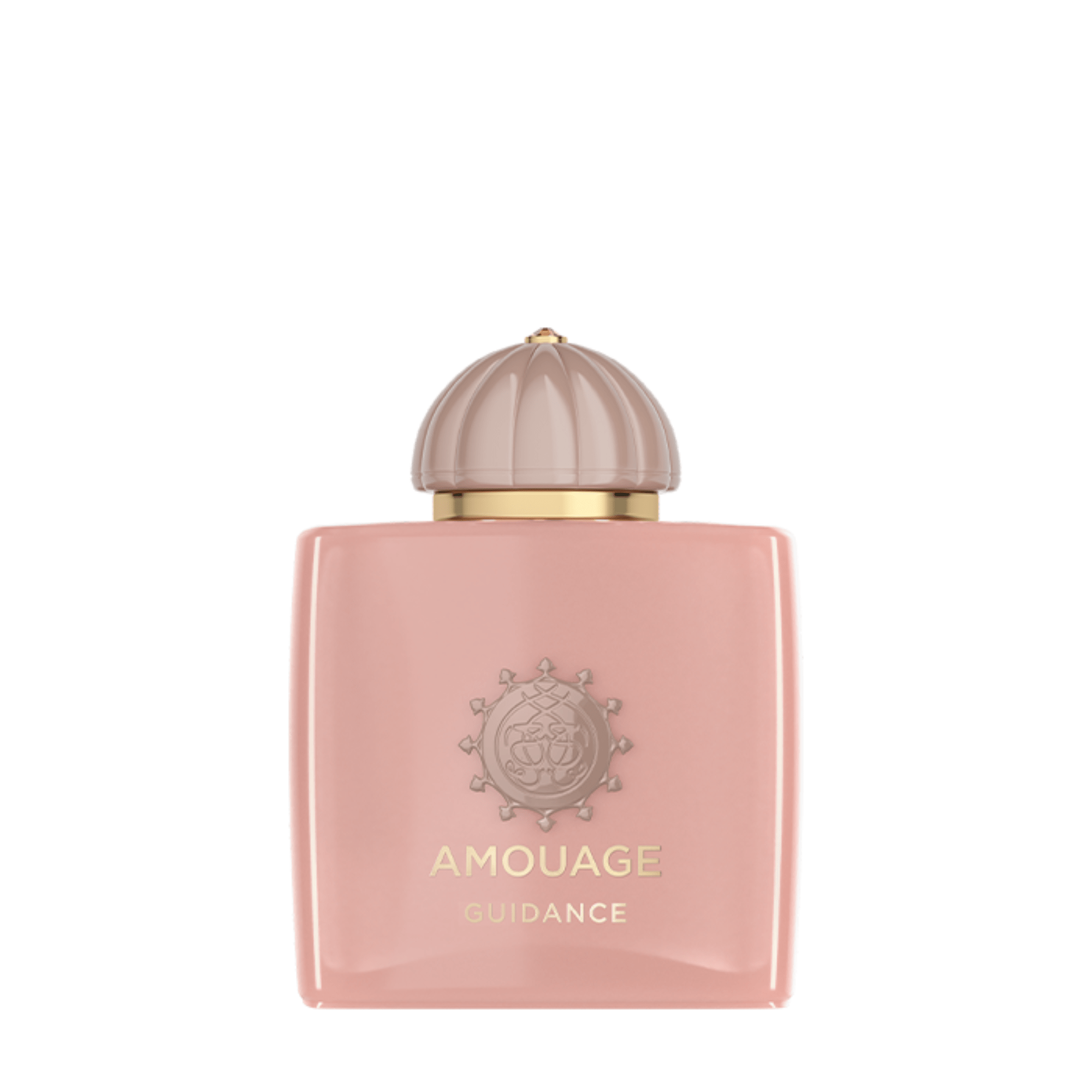 あ*見様 【新品】Amouage Guidance 100ml 並行輸品 productimage_32_-min.png?v=