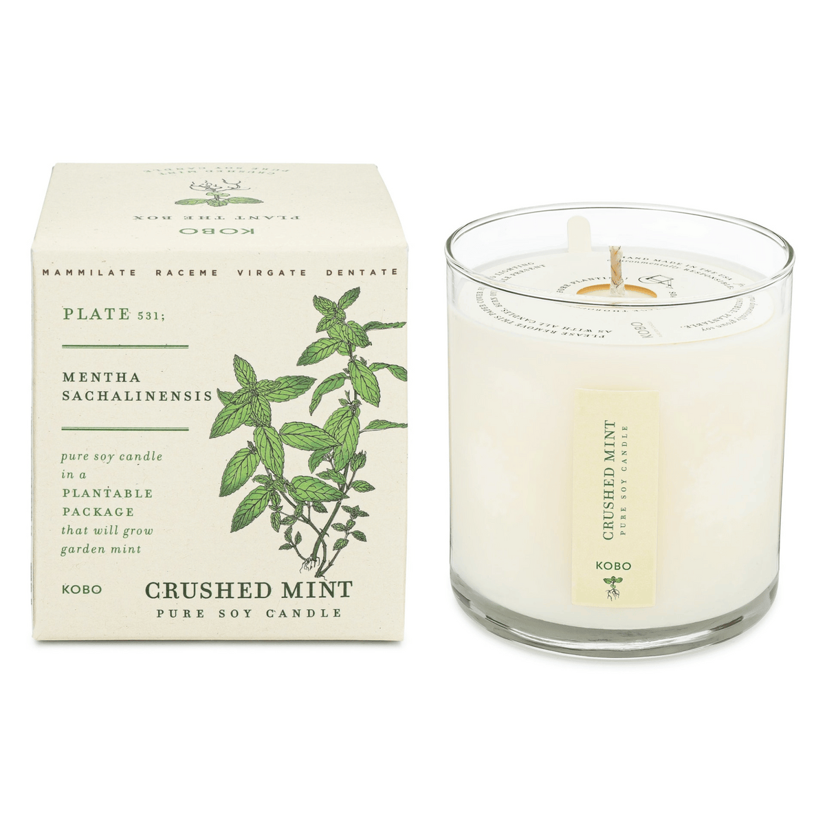 Primary Image of Crushed Mint Plant the Box Candle