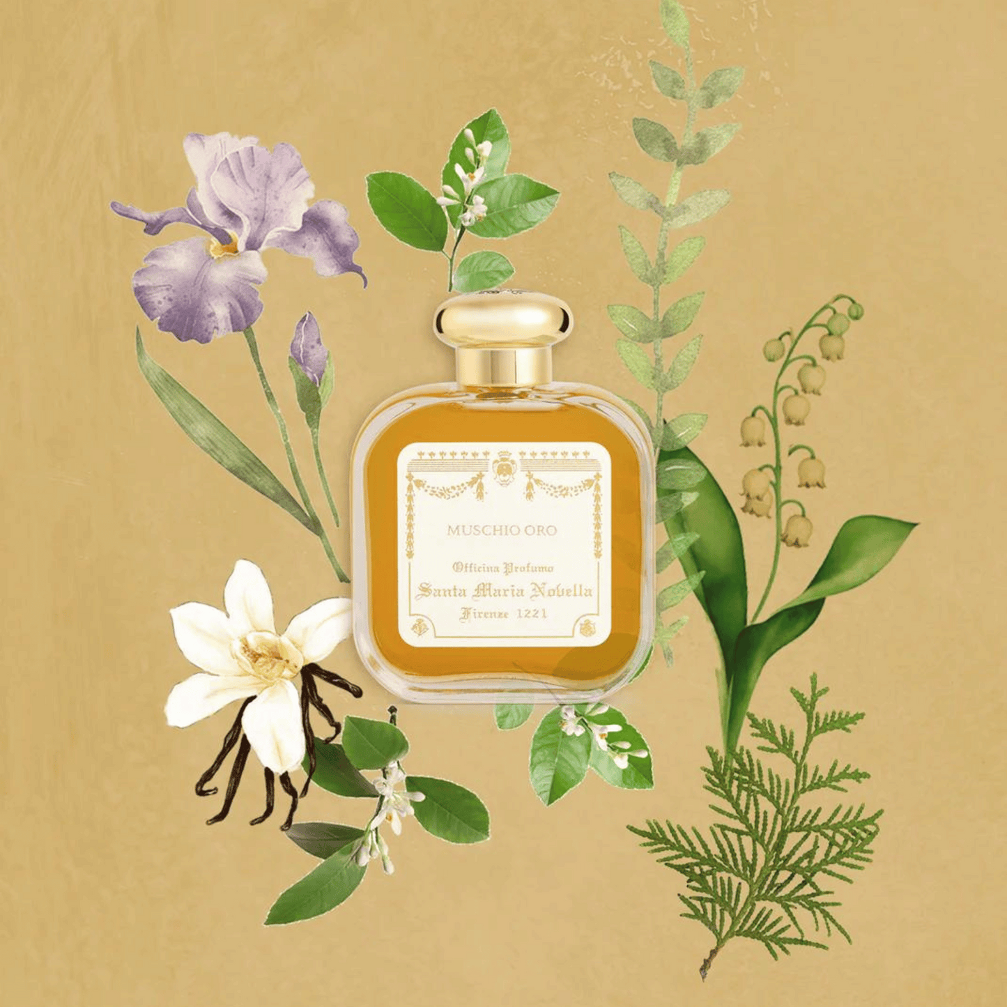 Alternate Image of Muschio Oro EDC