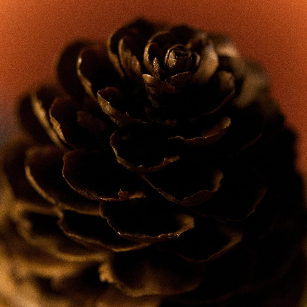 Alternate Image of Girl In A Sweater Candle, pinecone