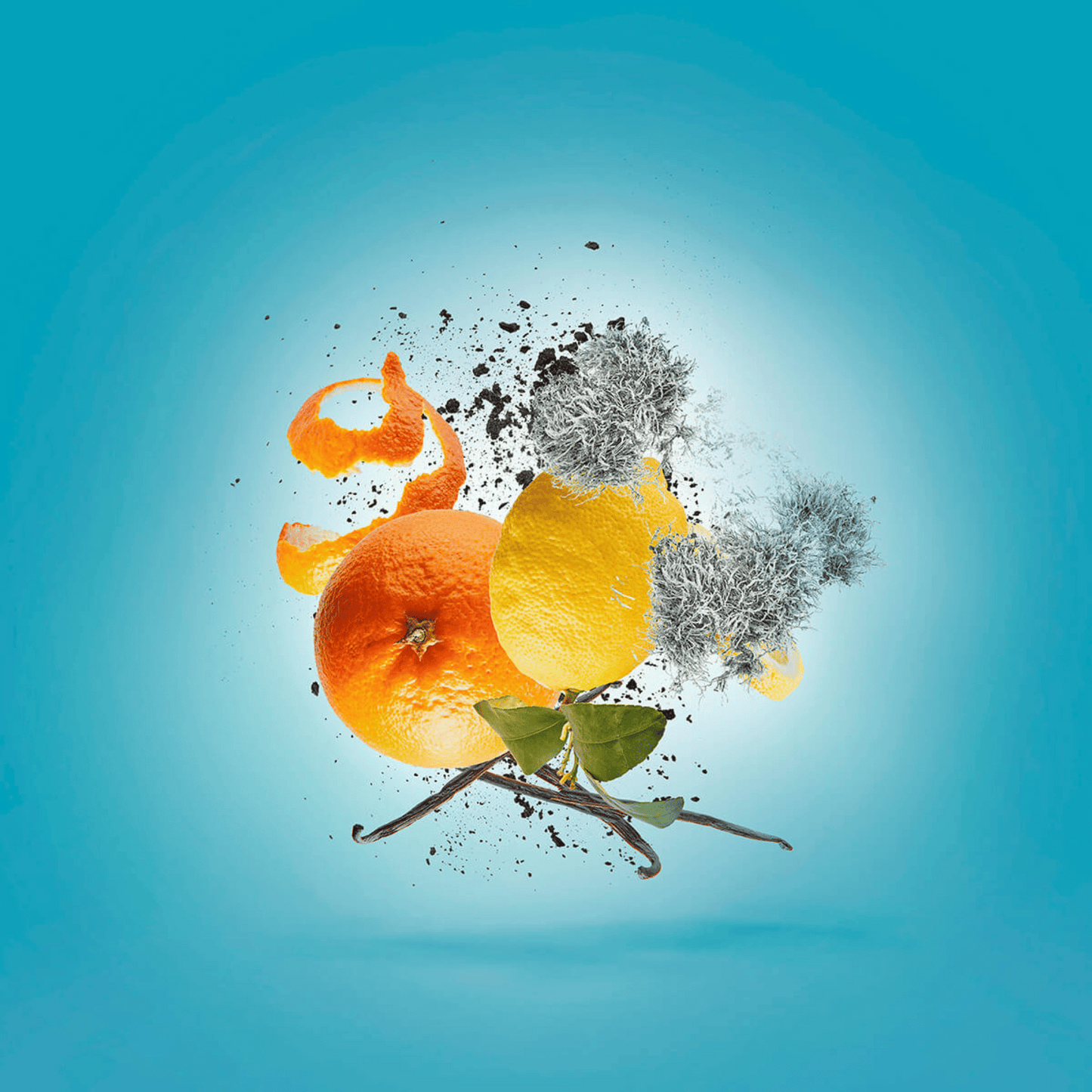 Alternate Image of Erba Pura EDP