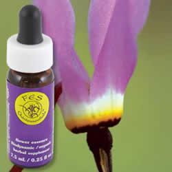 Primary image of Shooting Star