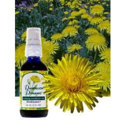 Primary image of Dandelion Dynamo