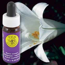 easter lily flower essence Flower Essence Services, Easter Lily Dropper, 0.25 fl oz