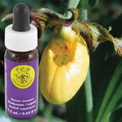 Primary image of Lady Slipper Yellow (7 Herbs)