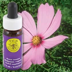 Primary image of Cosmos