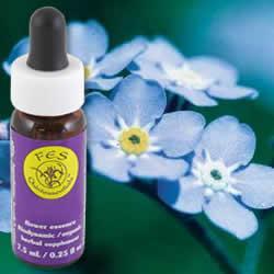 Primary image of Forget-Me-Not