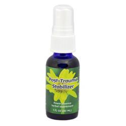 Primary image of Post-Trauma Stabilizer