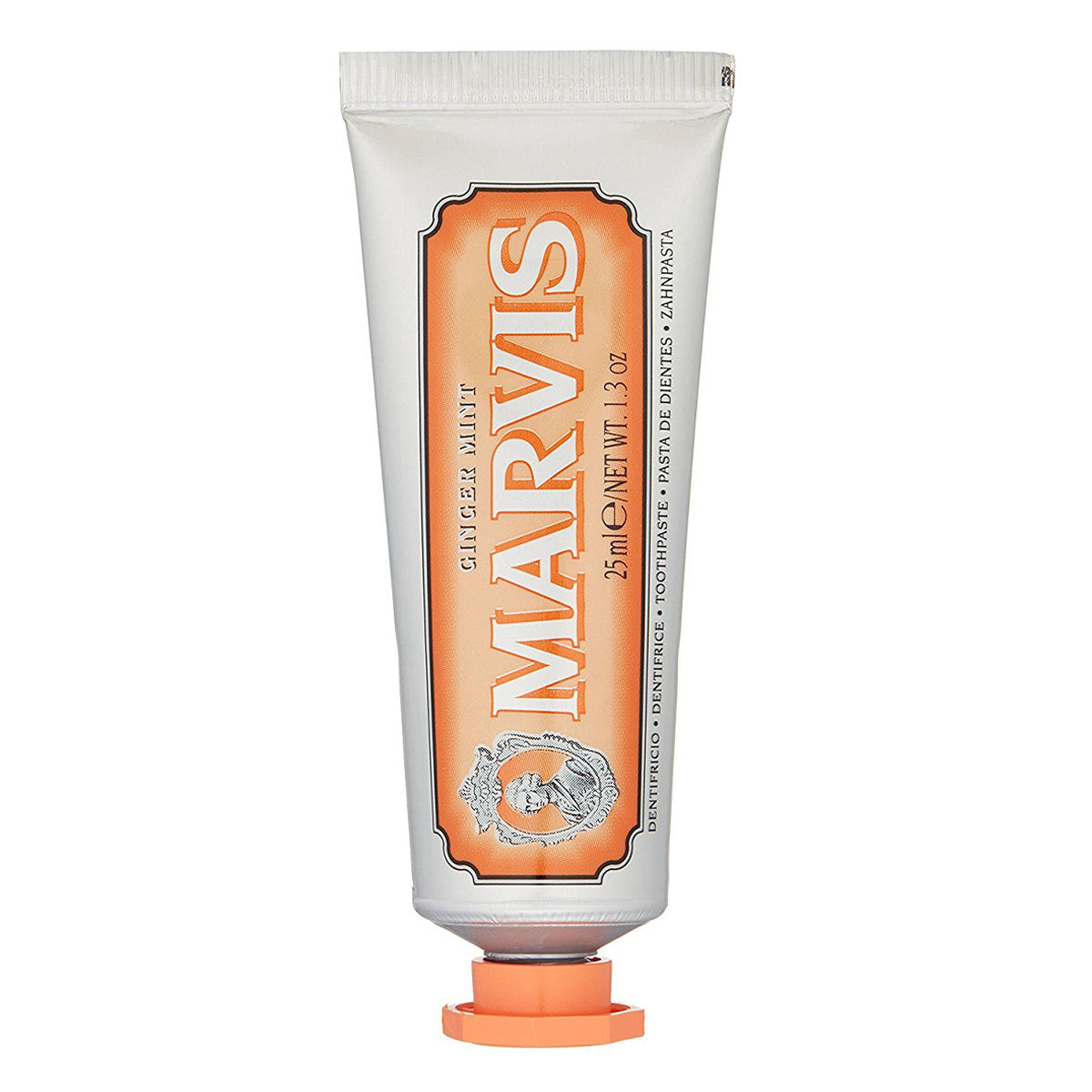 Primary image of Ginger Mint Travel Toothpaste