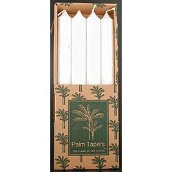 Primary image of White Unscented Taper Candles (9 inches)