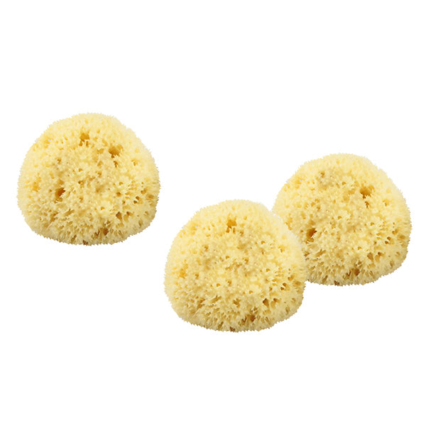 Primary image of Sea-Silk Cosmetic Sponge