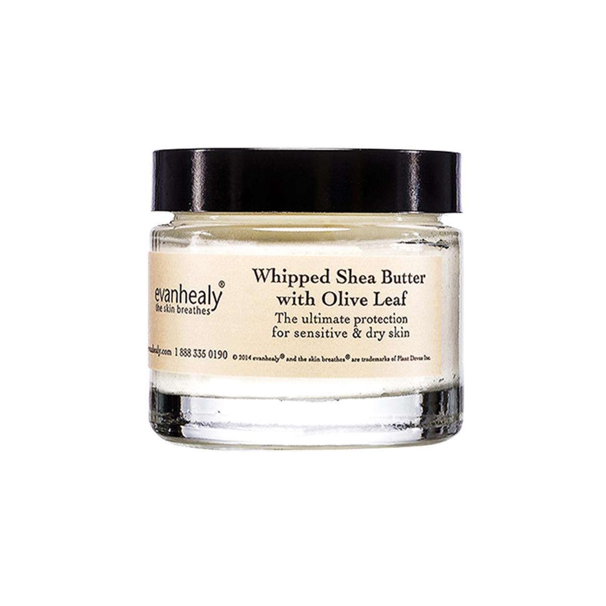 Primary image of Whipped Shea Butter with Olive Leaf