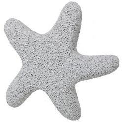 Primary image of Star Fish Pumice