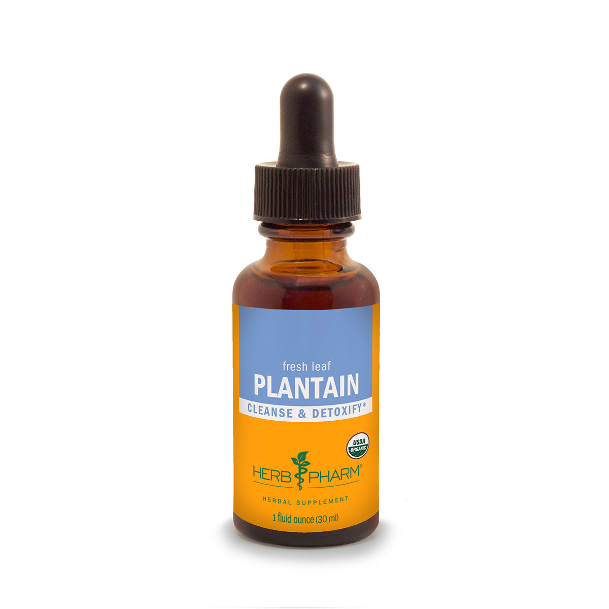 Primary image of Plantain Extract