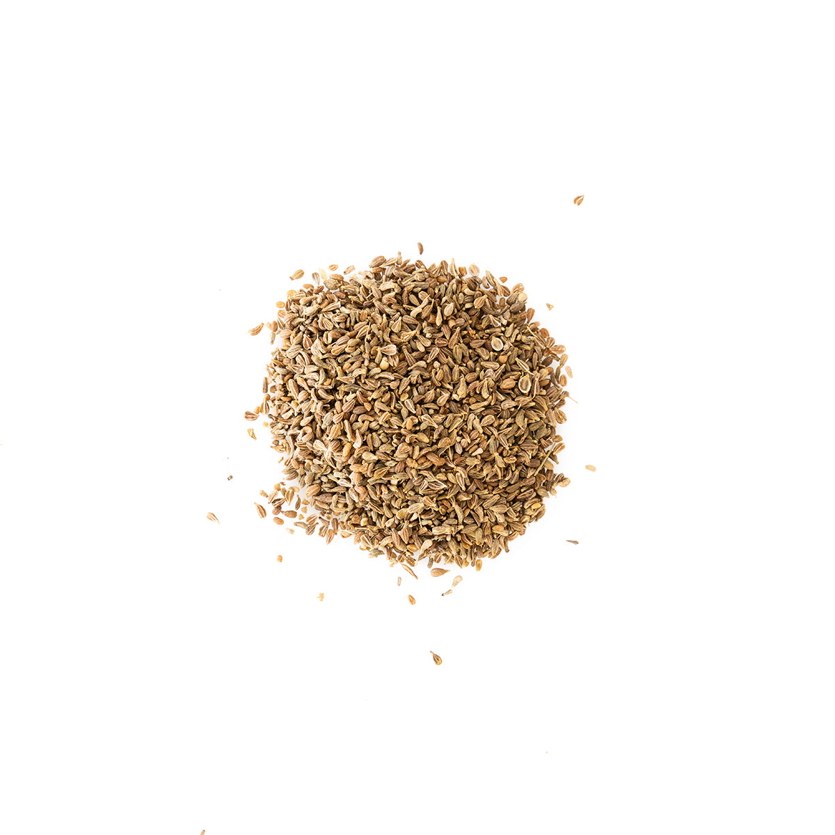 small flower seeds Smallflower Anise Seed (Pimpinella anisum) (4 oz)