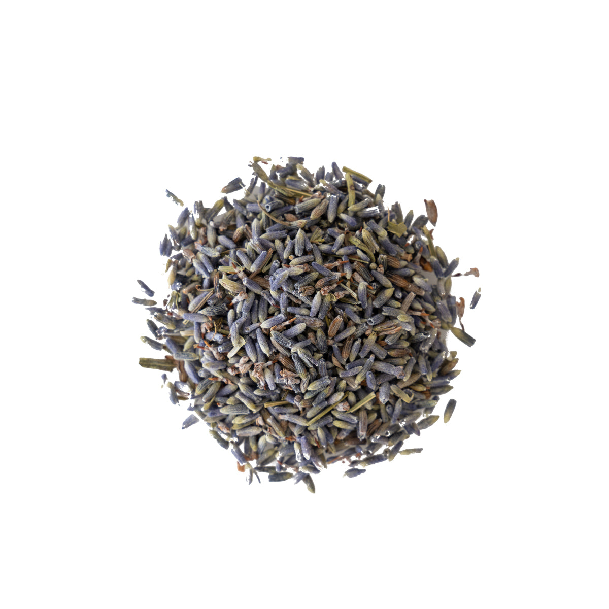 black lavender seeds Smallflower Lavender (Lavendula augustifolia) (2 oz)