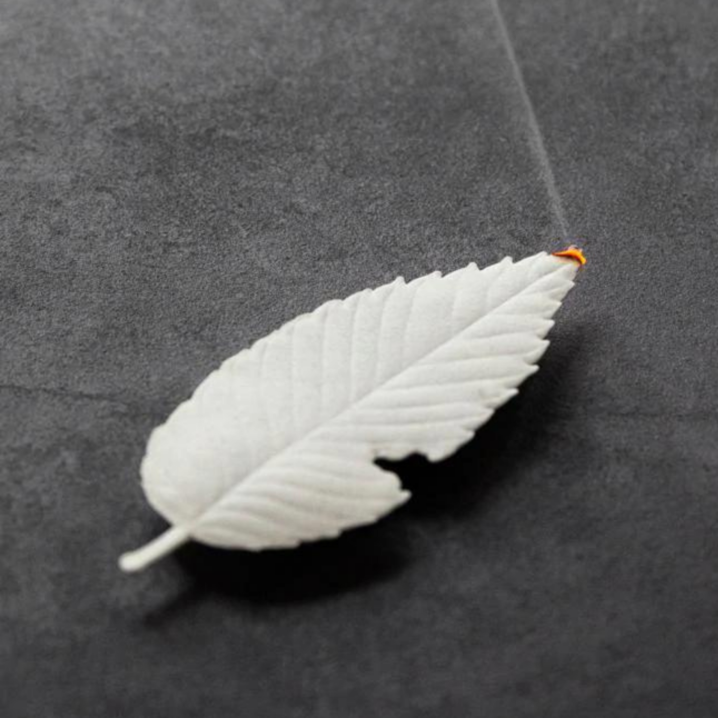 Primary Image of Jasmine Paper Incense