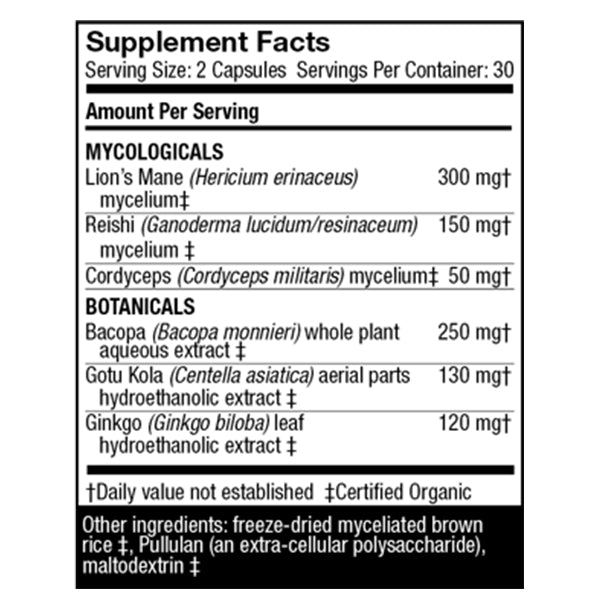 Alternate image of MycoBotanicals - Brain