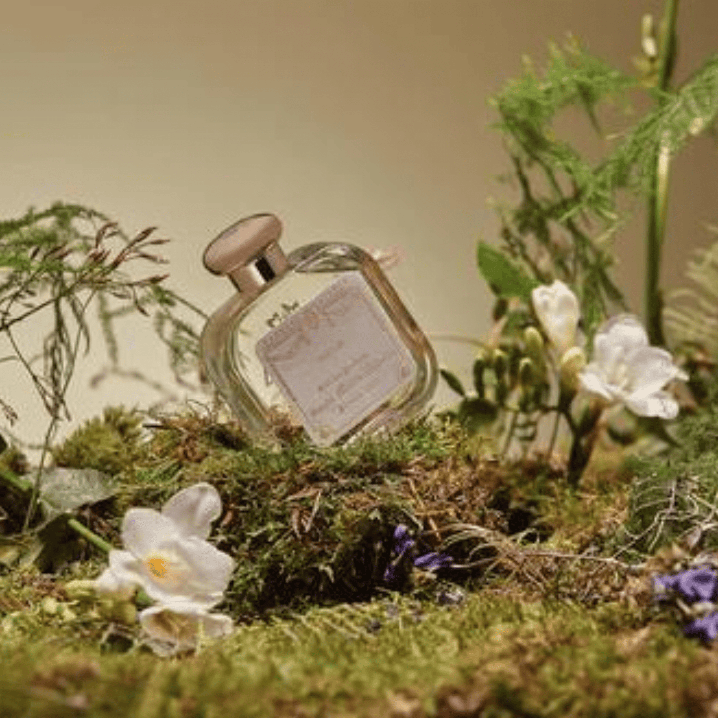 Alternate Image of Freesia (Fresia) Eau de Cologne