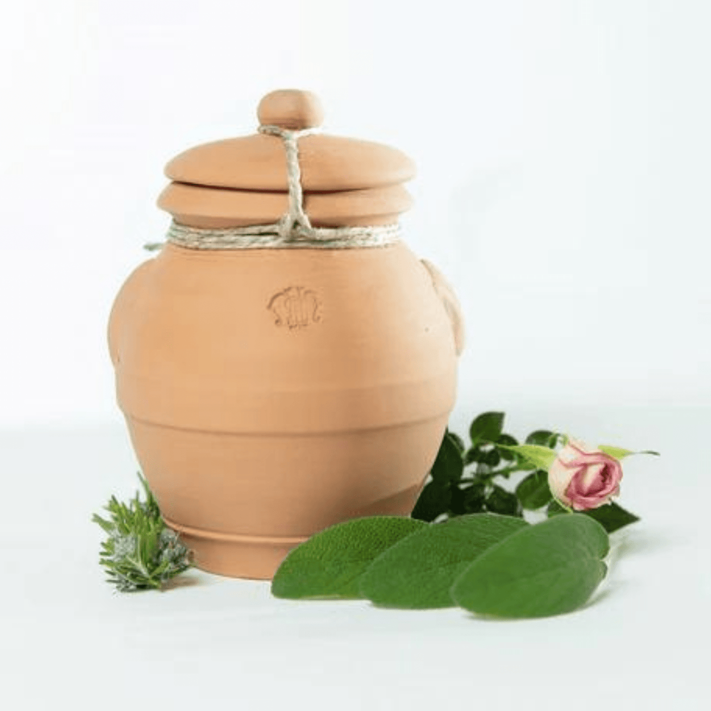 Alternate Image of Potpourri in Terracotta Jar (Large)
