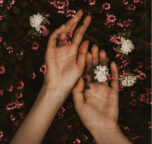 Two hands held among pink and white flowers in a garden