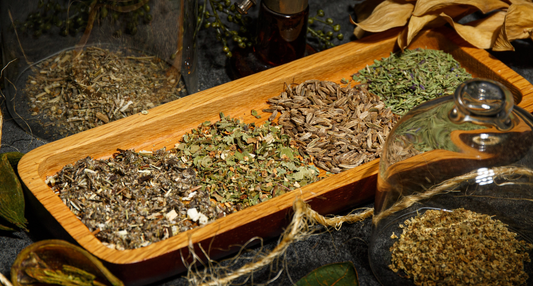 The Herbal Folklore of Halloween: Witchy Herbs & Transformative Plants for the Season